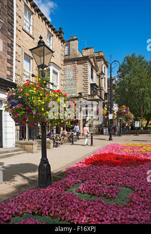 Farbenfrohe Blumen im Border Blumenbeet Montpellier Parade im Sommer Harrogate Stadtzentrum North Yorkshire England Großbritannien Großbritannien Großbritannien Großbritannien Großbritannien Großbritannien Großbritannien Großbritannien Großbritannien Großbritannien Großbritannien und Nordirland Stockfoto