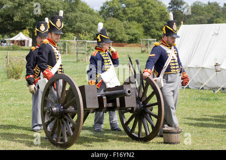 Französisch napoleonischen Artillerie Batterie Nachstellung der Schlacht von Austerlitz Stockfoto