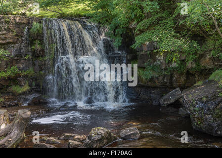 Osten Gill Force Keld im Swaledale Stockfoto