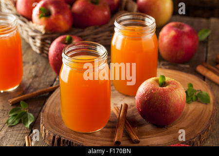 Bio Orange Apfelwein mit Zimt und Gewürzen Stockfoto