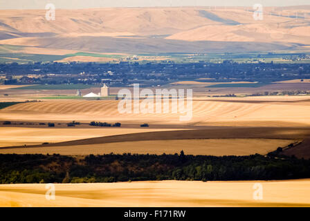 Die sanften Hügel und Felder des Walla Walla Valley, Eastern Washington USA Stockfoto