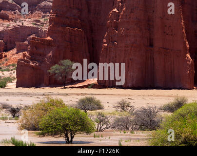 Detail der roten Klippen und Flut Bühne Rio de Las Conchas, Quebrada de Cafayate, Argentinien Stockfoto