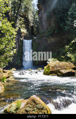 Beautiful Toketee Falls in Oregon, Foto an einem klaren Tag mit lebendigen Farben Stockfoto