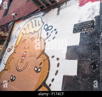 New York, New York, USA. 28. August 2015. Ein Wandbild von der Streetart-Künstler, den hanksy auf der Lower East Side von New York Geschäftsmann und Präsidentschaftskandidat Donald Trump zeigt, wie ein Haufen Kot mit Summen fliegen über, auf Freitag, 28. August 2015 gesehen. Hanksy ist bekannt für seine Wortspiel Kunstwerk viele mit Tom Hanks gefüllt. Bildnachweis: Richard Levine/Alamy Live-Nachrichten Stockfoto