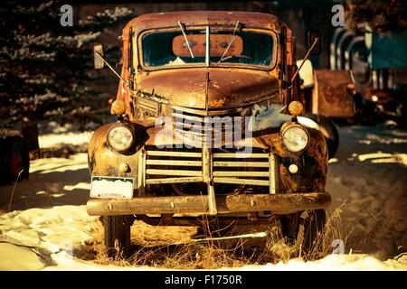 Rusty im Alter Pickup-Truck in Colorado, Vereinigte Staaten aufgegeben. Stockfoto