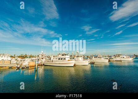 Marina in San Diego North Bay, Kalifornien, USA. Boote im Hafen. Stockfoto