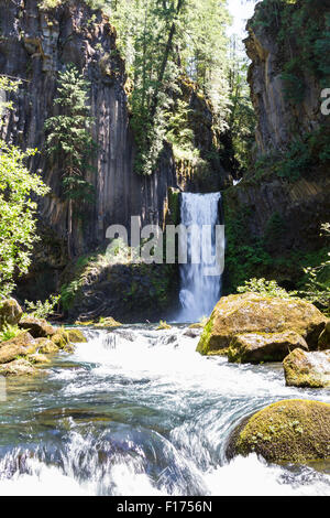 Beautiful Toketee Falls in Oregon, Foto an einem klaren Tag mit lebendigen Farben Stockfoto