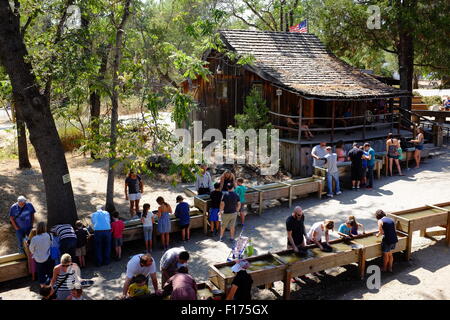 Goldwaschen am Columbia State Historic Park in Kalifornien. Stockfoto