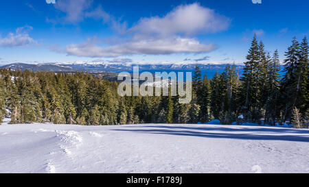Lake Tahoe vom Skigebiet Almwiesen, Squaw Valley, Kalifornien Stockfoto