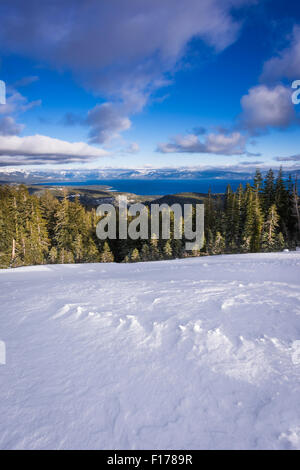 Lake Tahoe vom Skigebiet Almwiesen, Squaw Valley, Kalifornien Stockfoto