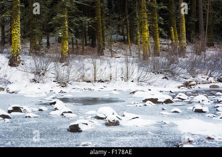 Gefrorene Truckee River im Winter, Tahoe National Forest, California Stockfoto