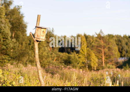 Mann aus Holz Vogelhaus bei Sonnenuntergang an einem Zweig befestigt Stockfoto