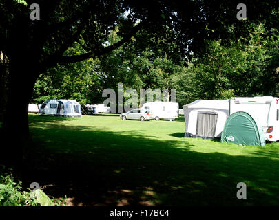 Camping im Wald, Ausfallspforte Hill Campingplatz, Savernake Forest, Marlborough, Wiltshire, UK Stockfoto