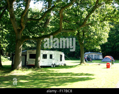 Camping im Wald, Ausfallspforte Hill Campingplatz, Savernake Forest, Marlborough, Wiltshire, UK Stockfoto