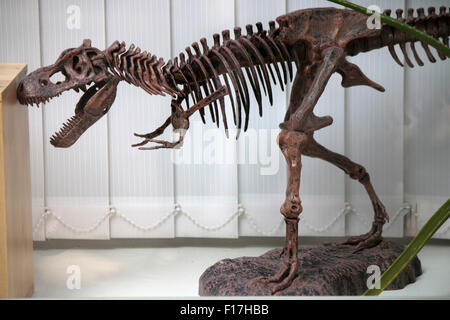 Modell Eines Dinosaurier-Skeletts, Berlin. Stockfoto