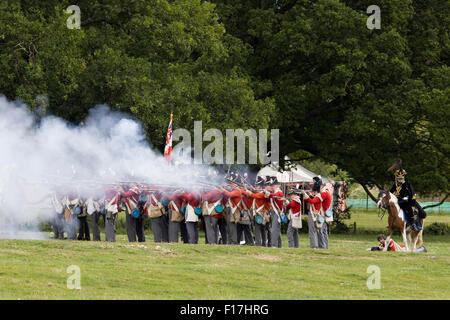 Reenactment der 33rd Regiment Fußsoldaten im Kampf Stockfoto