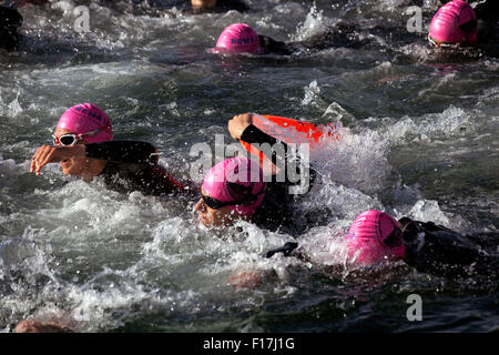 Kopenhagen, Dänemark, 29. August 2015. Schwimmer auf dem Weg in den Kanälen, die rings um das dänische Parlament, Christiansborg. Einige 3,300 Schwimmer nimmt die 2 km Tour rund um Christiansborg in diesem jährlich wiederkehrenden Spaß Rennen der dänischen Swimming Federation organisiert. Bildnachweis: OJPHOTOS/Alamy Live-Nachrichten Stockfoto