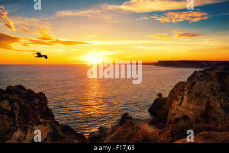 Ruhigen Sonnenuntergang Landschaft am Meer mit dem Sonnenlicht reflektiert auf dem Wasser, einen fliegenden Vogel und die felsige Küste Stockfoto