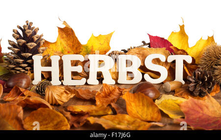 Deutsches Wort für den Herbst, Herbst, geschrieben auf trockene Blätter mit Holzbuchstaben, weißer Hintergrund Stockfoto