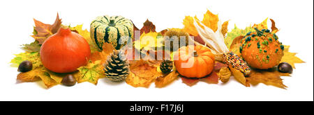 Natürliche Herbst Dekoration mit trockenen Blättern angeordnet isoliert Zier Kürbisse, Kegeln und vieles mehr, Studio am weißen, breiten format Stockfoto