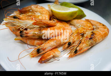 Riesengarnelen vom Grill, a la Plancha mit Zitrone auf Meeresfrüchte-Bar serviert. Spanien Stockfoto