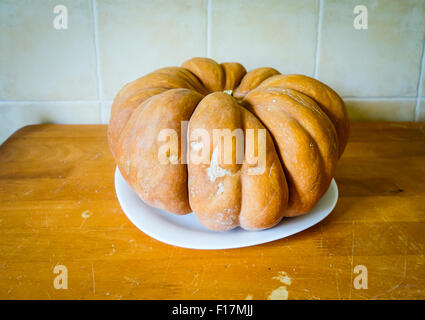 Musquee de Provence Kürbis, Kürbis Cucurbita Moschata Hause angebaut. Stockfoto