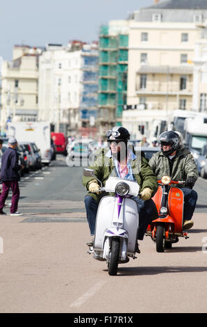 Brighton, England, Vereinigtes Königreich. 29. August 2015. Tag 2 der Brighton modernistischen und 60 s Weekender. Horden von Fahrer sind auf Brighton Seafront, zeigen Sie ihre maßgeschneiderte Roller während der Wochenende und Feiertagen eingetroffen. Das Event läuft vom 28. bis 30. August 2015. Bildnachweis: Francesca Moore/Alamy Live-Nachrichten Stockfoto