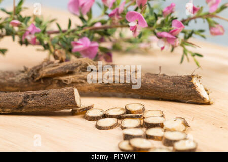 Stacheligen Restharrow, root, Dornige Hauhechel, Dorniger Hauhechel, Hauhechelwurzel, Hauhechel-Wurzel, Wurzeln, Ononis Spinosa Stockfoto