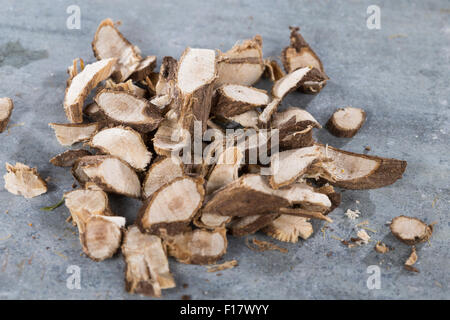 Stacheligen Restharrow, root, Dornige Hauhechel, Dorniger Hauhechel, Hauhechelwurzel, Hauhechel-Wurzel, Wurzeln, Ononis Spinosa Stockfoto