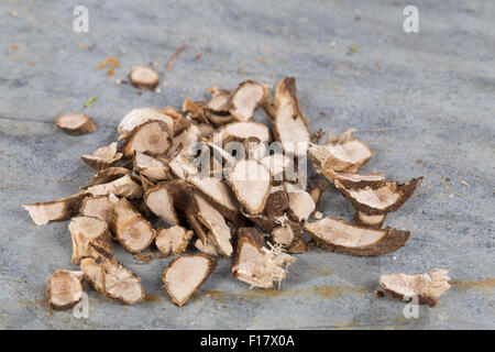 Stacheligen Restharrow, root, Dornige Hauhechel, Dorniger Hauhechel, Hauhechelwurzel, Hauhechel-Wurzel, Wurzeln, Ononis Spinosa Stockfoto