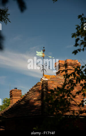 Weather Vane in der Gestalt eines Hundes oder Wolfes Kopf auf einem tudor Haus in England Stockfoto