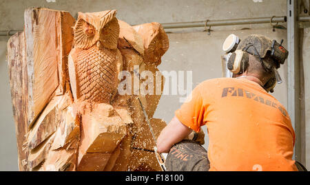 Knutsford, Cheshire, UK. 29. August 2015. Die 11. Englisch öffnen Chainsaw Carving Wettkampfspiel Cheshire & Country Fair Credit: John Hopkins/Alamy Live-Nachrichten Stockfoto