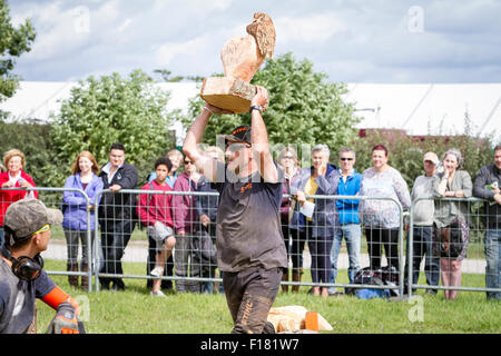 Knutsford, Cheshire, UK. 29. August 2015. Quint Hughes aus Wales trägt seine Arbeit während der Speed Carving-Wettbewerb bei der 11. Englisch Open Chainsaw Carving Wettbewerb Credit: John Hopkins/Alamy Live News Stockfoto