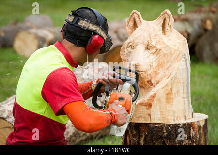 Knutsford, Cheshire, UK. 29. August 2015. Yoshihito Kosaka aus Japan schnitzt seinen Bärenkopf während der Speed Carving-Wettbewerb bei der 11. Englisch Open Chainsaw Carving Wettbewerb Credit: John Hopkins/Alamy Live News Stockfoto