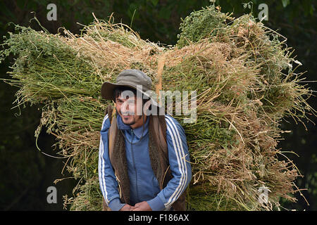 Tadschikistan ländliche Sammlung Stockfoto