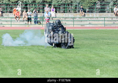 ALCALA DE HENARES, Spanien - 29. August 2015: Unbekannte Gruppe von spanischen Polizisten machen eine Show in Alcalá De Henares, am 29. August 2015. Armee -Korps von Spanien getan haben eine Show während der Messen von Alcala De Henares. Bildnachweis: Russet Apfel/Alamy Live News Stockfoto