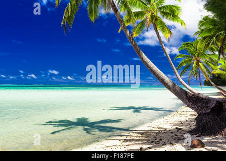 Kleiner Strand mit Palmen über tropischen Wasser auf Rarotonga, Cook-Inseln Stockfoto