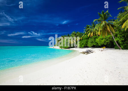 Strand auf einer tropischen Insel mit Palmen Lagune überhängend Stockfoto