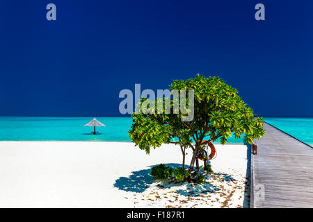 Wunderschönen tropischen Sandstrand mit Wodden Anlegesteg und einzelne Kleinbaum Stockfoto