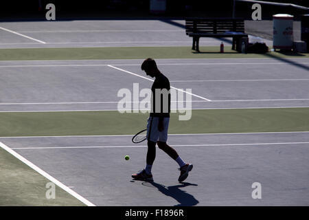 New York, USA. 29. August 2015. Nummer eins Samen Novak Djokovic während einer Übung an der Billie Jean King USTA National Tennis Center in Flushing Meadows, New York auf Samstag, 29. August 2015.  Er bereitet sich auf die US Open am Montag beginnt. Bildnachweis: Adam Stoltman/Alamy Live-Nachrichten Stockfoto