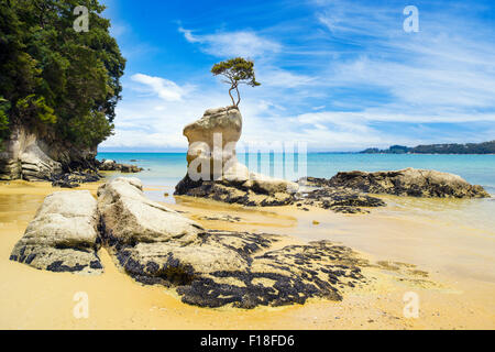 Ungewöhnliche Felsformation am Abel Tasman Nationalpark in Neuseeland Stockfoto