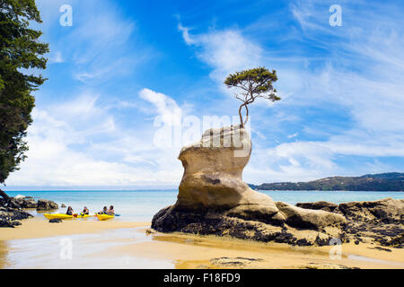 4 Meer Kajakfahrer kommen an Land im Abel Tasman Nationalpark in Neuseeland Stockfoto