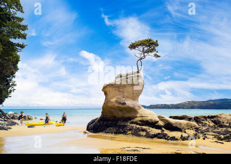 4 Meer Kajakfahrer kommen an Land im Abel Tasman Nationalpark in Neuseeland Stockfoto