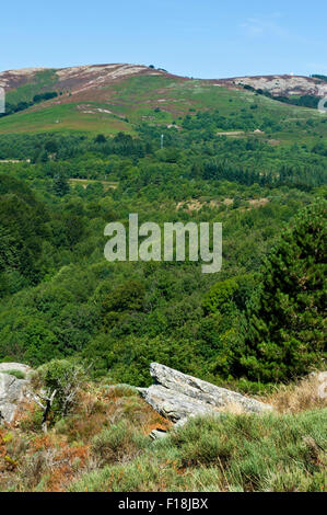 Die Schluchten des Colombieres, in der Nähe von La Fage Gite, Herault, Languedoc Roussillon, Frankreich Stockfoto