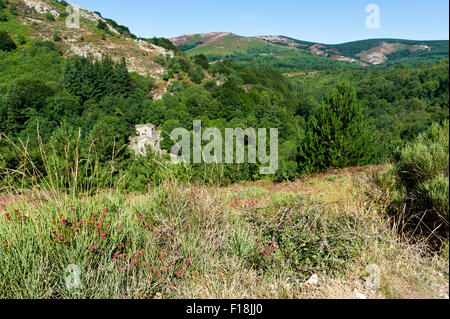 Die Schluchten des Colombieres, in der Nähe von La Fage Gite, Herault, Languedoc Roussillon, Frankreich Stockfoto