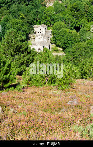 Die Schluchten des Colombieres, in der Nähe von La Fage Gite, Herault, Languedoc Roussillon, Frankreich Stockfoto