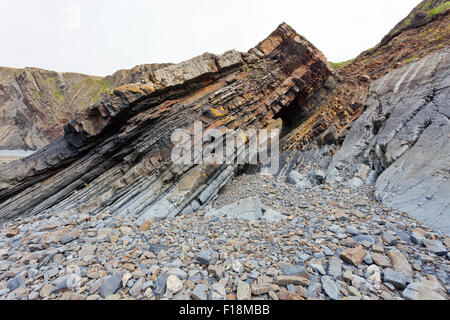 Die dramatische gefaltet und gekippt Gesteinsschichten bei Hartland Quay, North Devon, England, UK Stockfoto