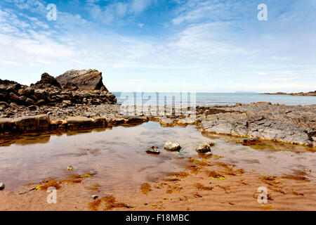 Fels-Pools auf dem Vorland bei Hartland Quay, North Devon, England, UK Stockfoto