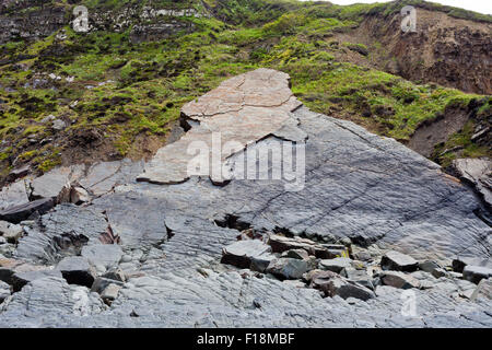 Dramatische Platten aus Gesteinsschichten auf das Vorland bei Hartland Quay, North Devon, England, UK Stockfoto