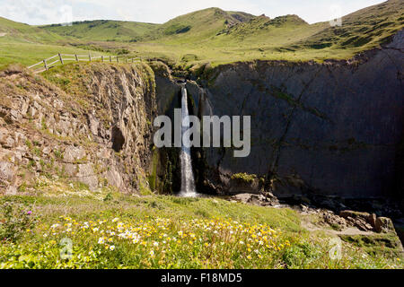 Der South West Coast Path verläuft die dramatische Spekes Mühle Mund Wasserfall, North Devon, England, UK Stockfoto